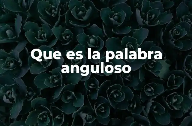 Que es la Palabra Anguloso