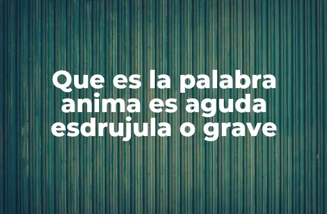 Que es la Palabra Anima es Aguda Esdrujula o Grave 2 Cómo identificar la acentuación de una palabra