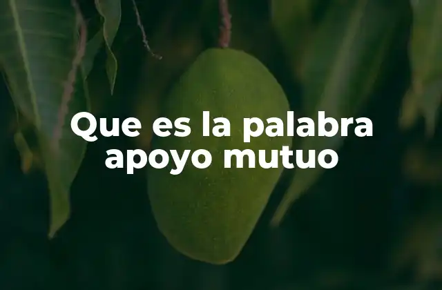 La importancia del apoyo mutuo en la sociedad moderna
