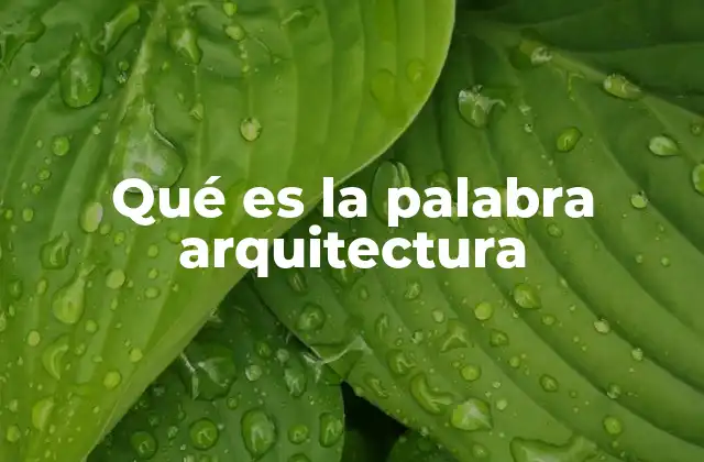 Qué es la Palabra Arquitectura
