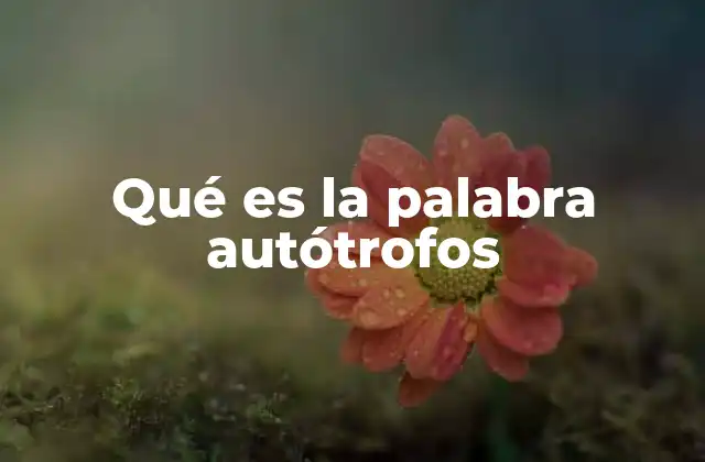 Qué es la Palabra Autótrofos
