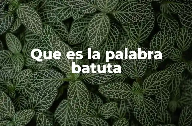 Que es la Palabra Batuta