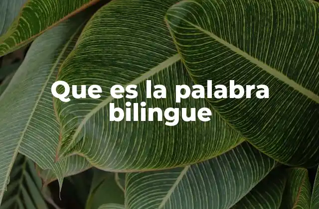 Que es la Palabra Bilingue