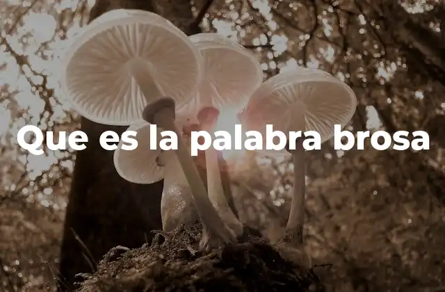 Que es la Palabra Brosa