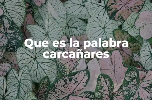 Que es la Palabra Carcañares