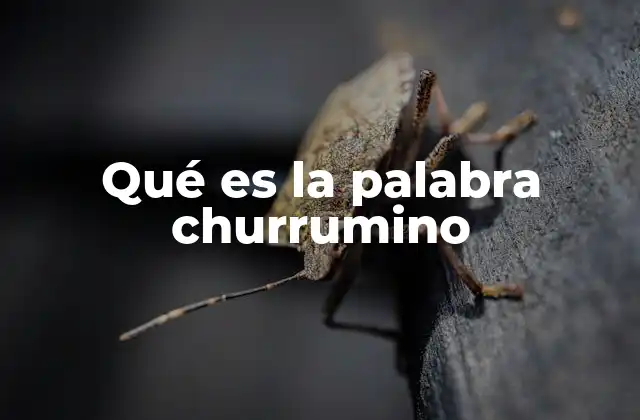 Qué es la Palabra Churrumino