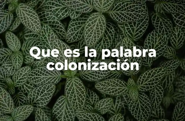 Que es la Palabra Colonización