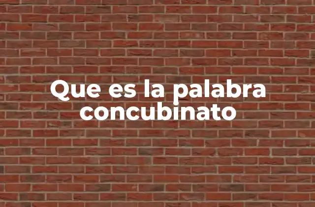 Que es la Palabra Concubinato
