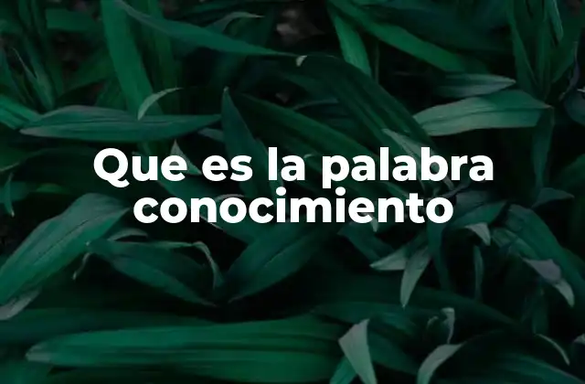 Que es la Palabra Conocimiento 2 El papel del conocimiento en el desarrollo humano