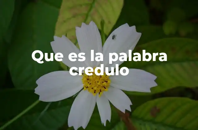 Que es la Palabra Credulo