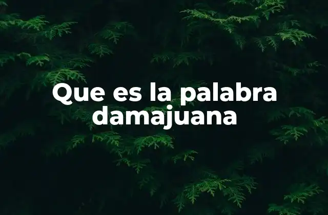 Que es la Palabra Damajuana 2 El significado cultural y social de los recipientes grandes