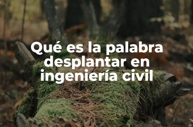 Qué es la Palabra Desplantar en Ingeniería Civil