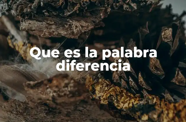 Que es la Palabra Diferencia