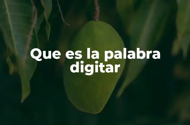 Que es la Palabra Digitar