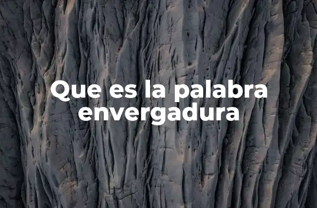 Que es la Palabra Envergadura