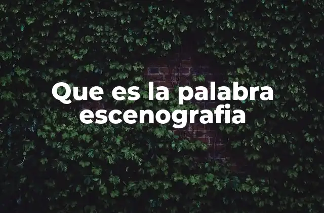 Que es la Palabra Escenografia