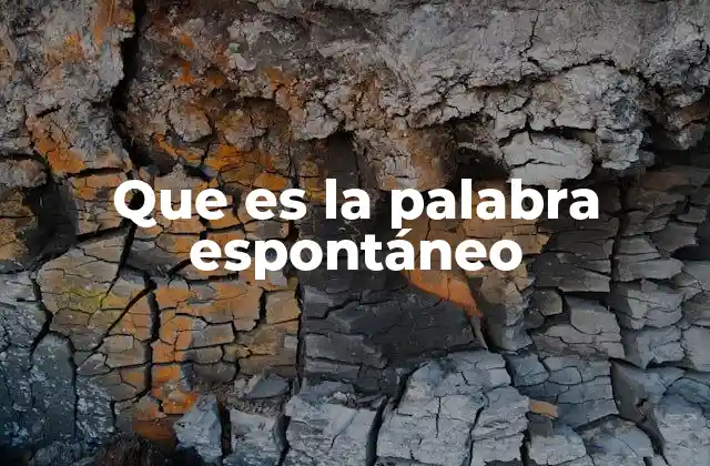 Que es la Palabra Espontáneo 2 La espontaneidad en el comportamiento humano