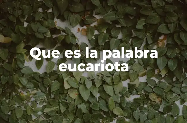 Que es la Palabra Eucariota