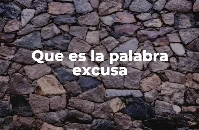 Que es la Palabra Excusa