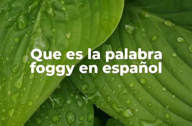 Que es la Palabra Foggy en Español