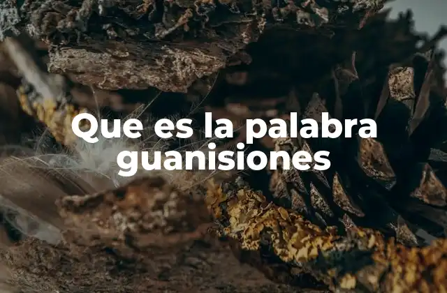 El lenguaje regional y el surgimiento de expresiones como guanisiones