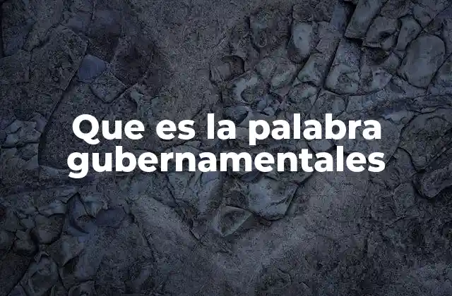 Que es la Palabra Gubernamentales