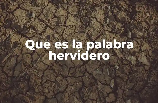 Que es la Palabra Hervidero