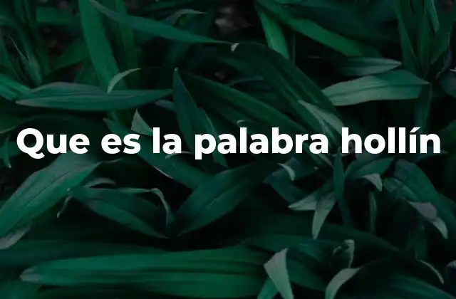 Que es la Palabra Hollín
