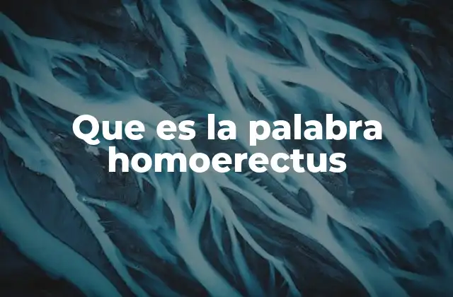 Que es la Palabra Homoerectus