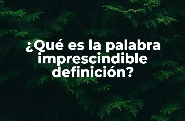 ¿qué es la Palabra Imprescindible Definición?