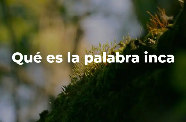 Qué es la Palabra Inca