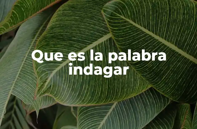 Que es la Palabra Indagar