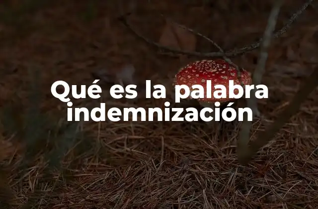 Qué es la Palabra Indemnización