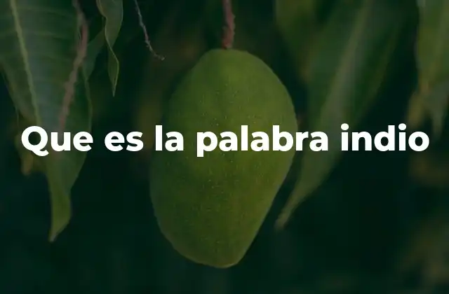 Que es la Palabra Indio