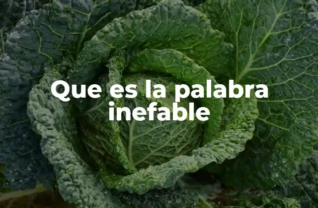 Que es la Palabra Inefable