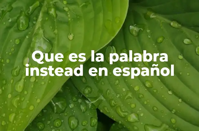 Que es la Palabra Instead en Español