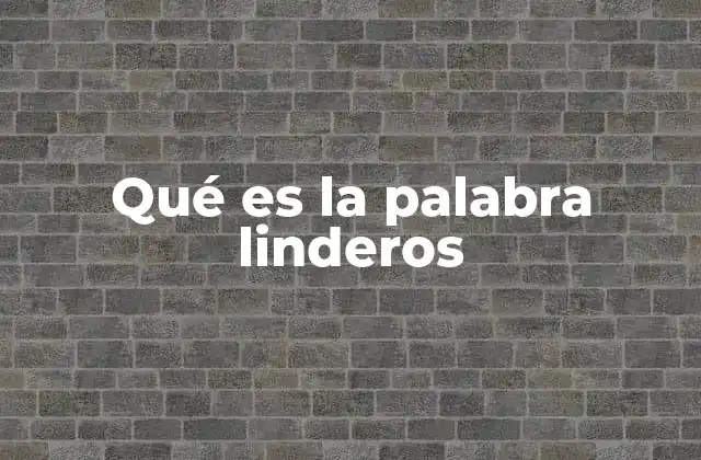 Qué es la Palabra Linderos