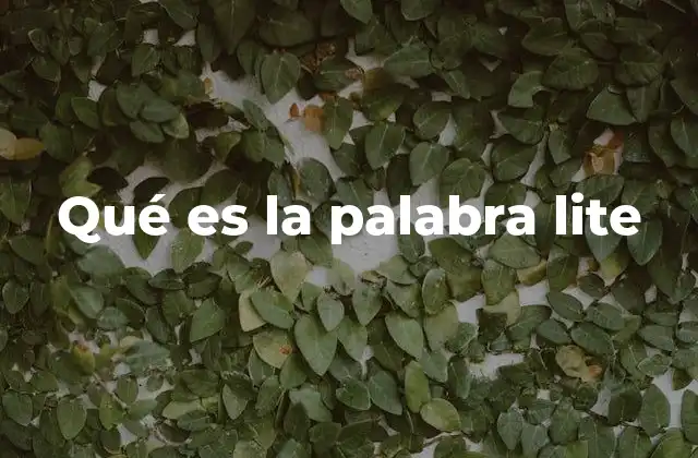 Qué es la Palabra Lite