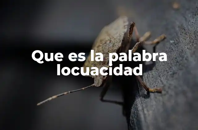 Que es la Palabra Locuacidad