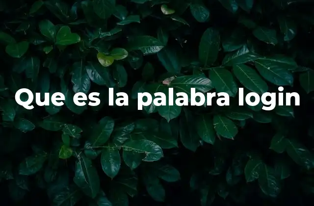 Que es la Palabra Login