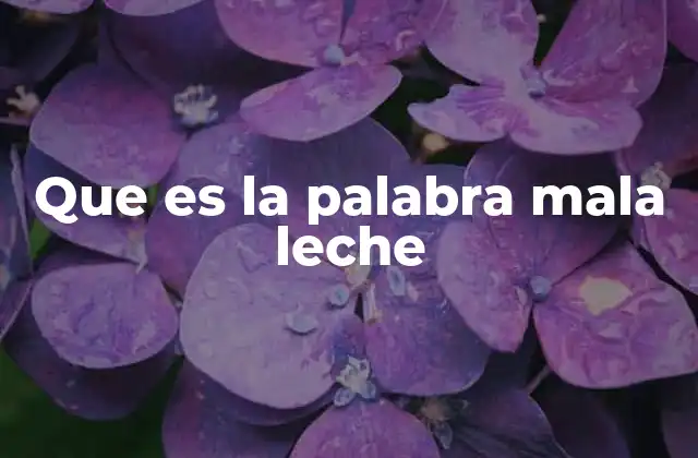 Que es la Palabra Mala Leche