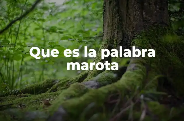 Que es la Palabra Marota