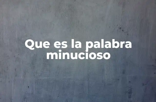 Que es la Palabra Minucioso