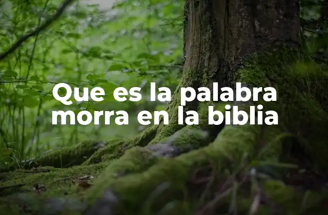 Que es la Palabra Morra en la Biblia