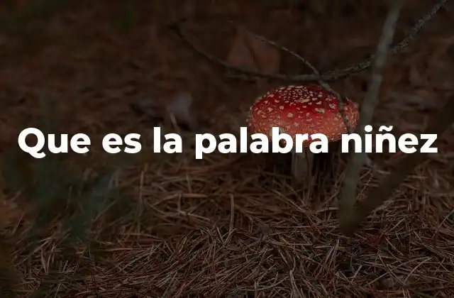 Que es la Palabra Niñez