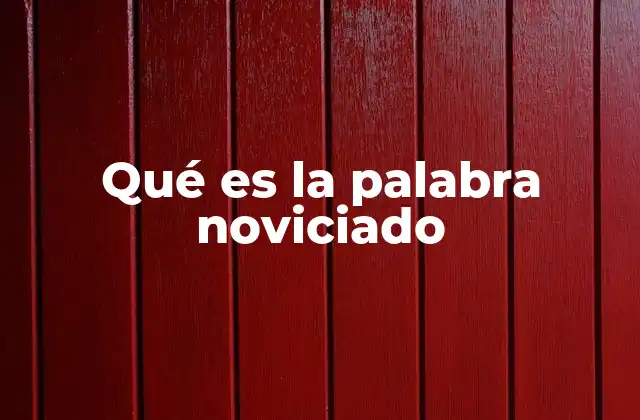 Qué es la Palabra Noviciado