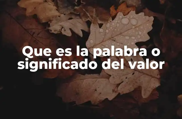 Que es la Palabra o Significado Del Valor 2 Cómo el valor influye en nuestras decisiones