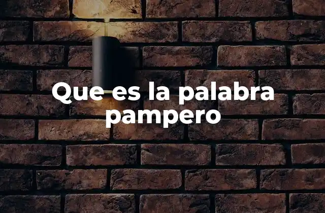 Que es la Palabra Pampero