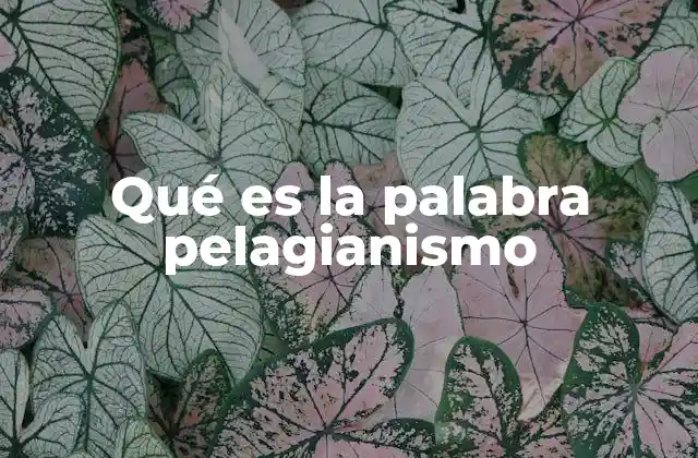 Qué es la Palabra Pelagianismo