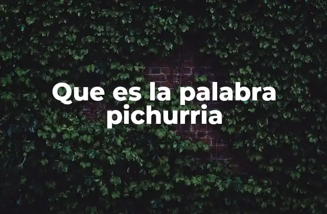 Que es la Palabra Pichurria